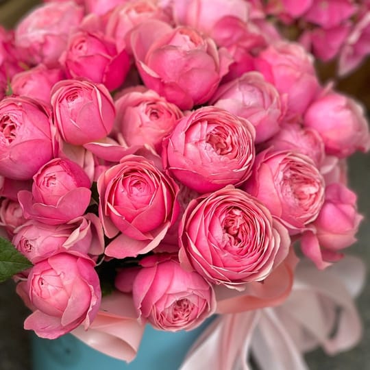 Піоновидні троянди в коробці – доставка квітів у Київ