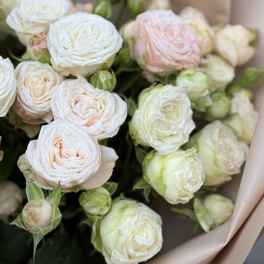 Букет кущових троянд Ніжність – доставка квітів у Київ