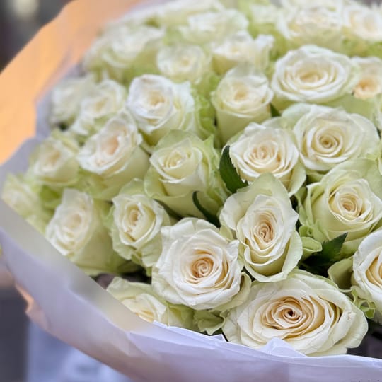 51 біла троянда Кенія – доставка квітів у Київ