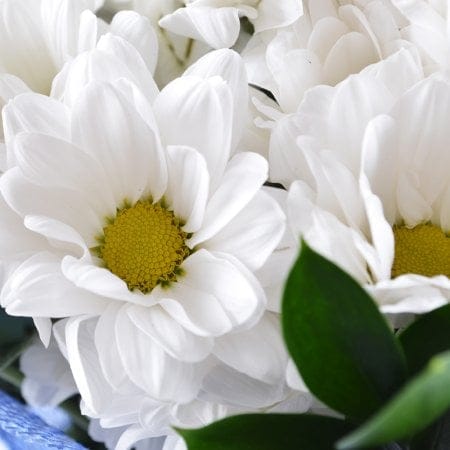 Букет ромашок – доставка квітів у Київ