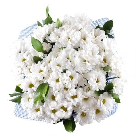 Букет ромашок – доставка квітів у Київ