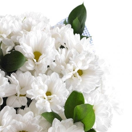 Букет ромашок – доставка квітів у Київ