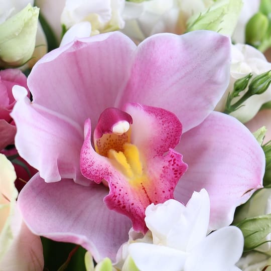 Букет квітів Ніжний подарунок – доставка квітів у Київ