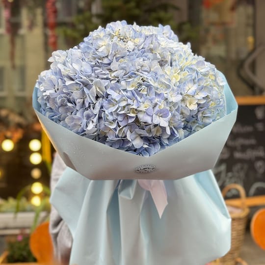 Букет блакитних гортензій – доставка квітів у Київ