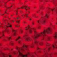 Букети з трояндами